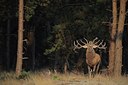 BUITEN BEELD Foto: 195883