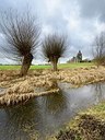 BUITEN BEELD Foto: 195913