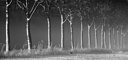 BUITEN BEELD Foto: 195973