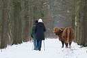 BUITEN BEELD Foto: 195992