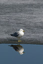 BUITEN BEELD Foto: 196116