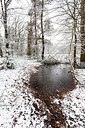 BUITEN BEELD Foto: 196237