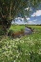 BUITEN BEELD Foto: 196923