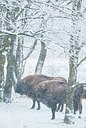 BUITEN BEELD Foto: 197168
