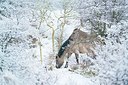 BUITEN BEELD Foto: 197294