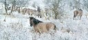BUITEN BEELD Foto: 197315