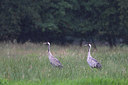 BUITEN BEELD Foto: 197408