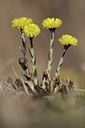 BUITEN BEELD Foto: 197446