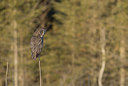 BUITEN BEELD Foto: 197815