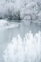 BUITEN BEELD Foto: 197877