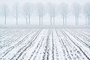 BUITEN BEELD Foto: 198209