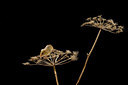 BUITEN BEELD Foto: 198375