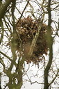 BUITEN BEELD Foto: 198384