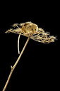 BUITEN BEELD Foto: 198389