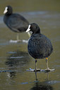 BUITEN BEELD Foto: 198428