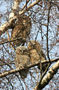 BUITEN BEELD Foto: 1001