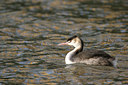 BUITEN BEELD Foto: 1047