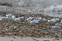 BUITEN BEELD Foto: 1096