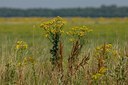 BUITEN BEELD Foto: 1377