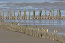 BUITEN BEELD Foto: 1404