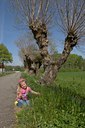 BUITEN BEELD Foto: 1570