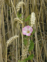 BUITEN BEELD Foto: 1835