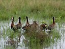 BUITEN BEELD Foto: 19077