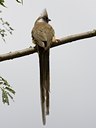 BUITEN BEELD Foto: 19082
