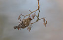 BUITEN BEELD Foto: 19507