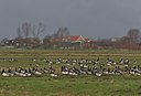 BUITEN BEELD Foto: 19578