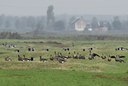 BUITEN BEELD Foto: 19718