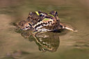 BUITEN BEELD Foto: 19767