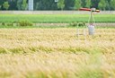 BUITEN BEELD Foto: 199053