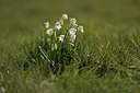 BUITEN BEELD Foto: 199532