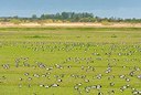 BUITEN BEELD Foto: 200140