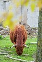 BUITEN BEELD Foto: 200170