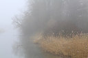 BUITEN BEELD Foto: 200194