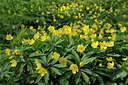 BUITEN BEELD Foto: 200790