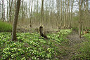 BUITEN BEELD Foto: 201237