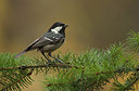 BUITEN BEELD Foto: 201298