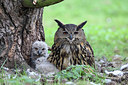 BUITEN BEELD Foto: 201352