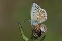BUITEN BEELD Foto: 201747