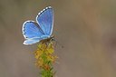 BUITEN BEELD Foto: 201752