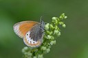 BUITEN BEELD Foto: 201754