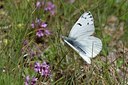 BUITEN BEELD Foto: 201770