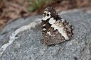 BUITEN BEELD Foto: 201777