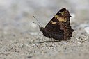 BUITEN BEELD Foto: 201802