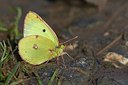 BUITEN BEELD Foto: 201831