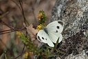 BUITEN BEELD Foto: 201833
