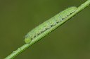 BUITEN BEELD Foto: 201835